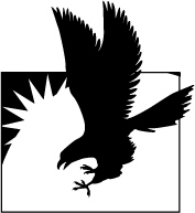 美国 洛克基督中学 Rock County Christian School logo