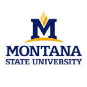 美国蒙大拿州立大学 logo
