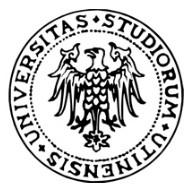 意大利乌迪内大学 logo
