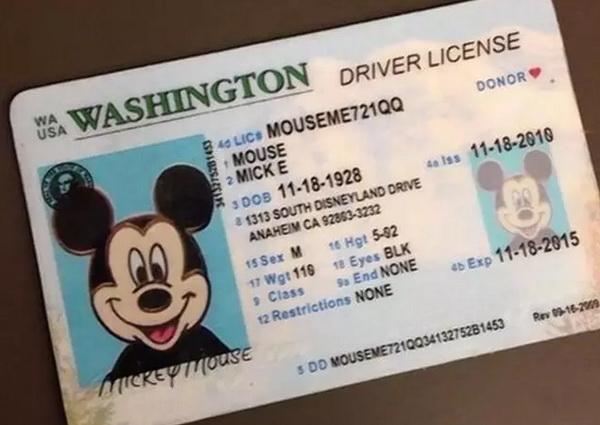 美国留学期间驾照申请指南