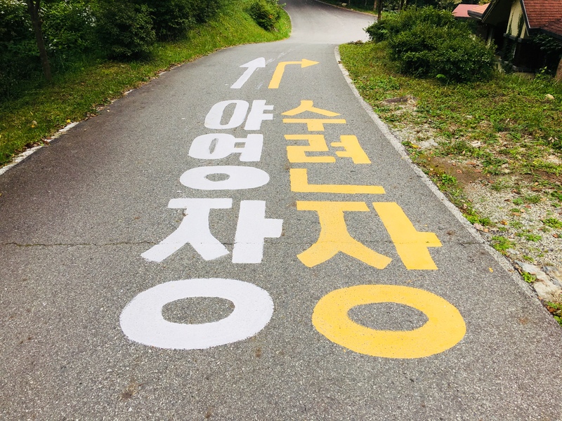 road-korea-picnic-lane-asphalt-road-surface-1585289-pxhere.com.jpg