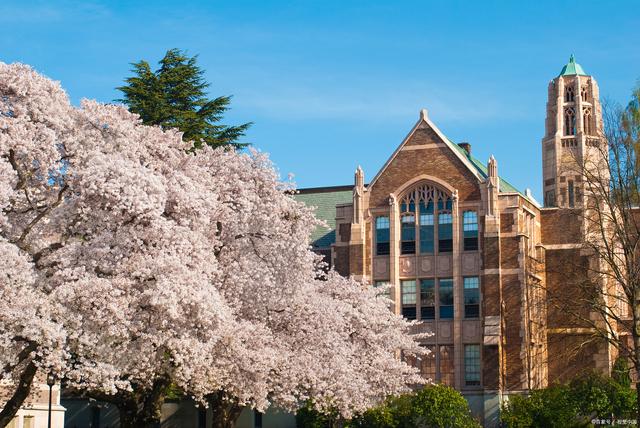 韩国庆熙大学国际校区图片